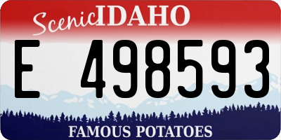 ID license plate E498593