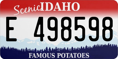 ID license plate E498598
