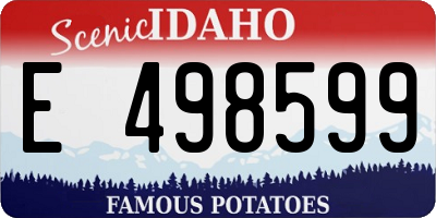 ID license plate E498599