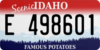 ID license plate E498601