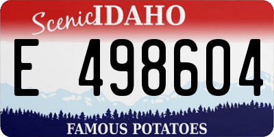 ID license plate E498604