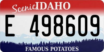 ID license plate E498609