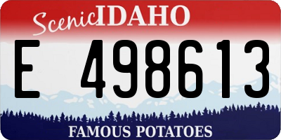 ID license plate E498613
