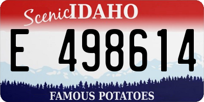 ID license plate E498614