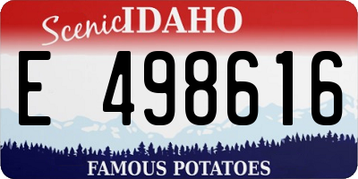 ID license plate E498616