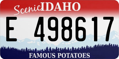 ID license plate E498617