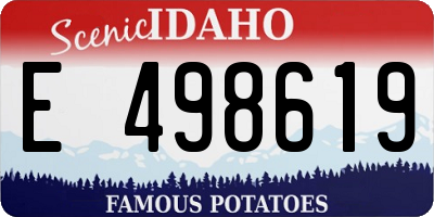 ID license plate E498619