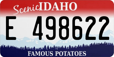 ID license plate E498622