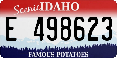 ID license plate E498623