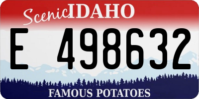 ID license plate E498632