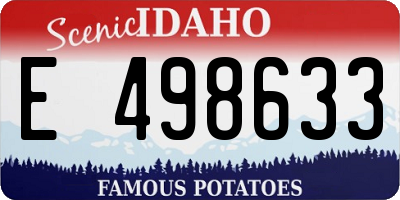 ID license plate E498633