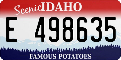 ID license plate E498635