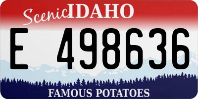 ID license plate E498636