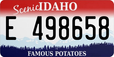 ID license plate E498658