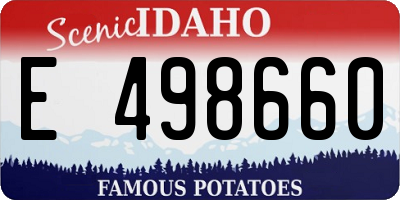 ID license plate E498660