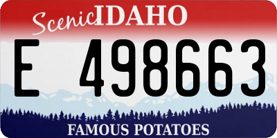 ID license plate E498663