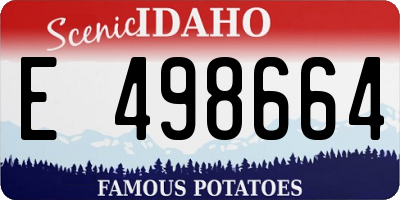 ID license plate E498664