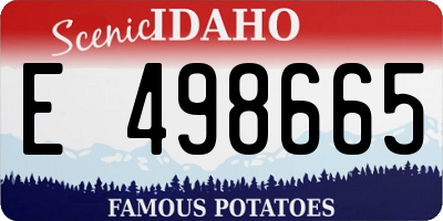 ID license plate E498665