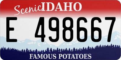 ID license plate E498667
