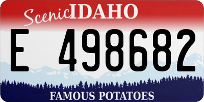 ID license plate E498682