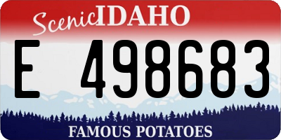 ID license plate E498683