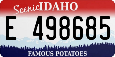 ID license plate E498685