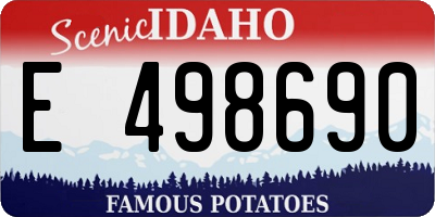 ID license plate E498690