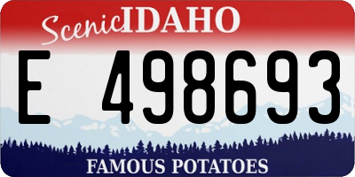 ID license plate E498693
