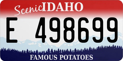 ID license plate E498699