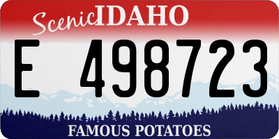 ID license plate E498723