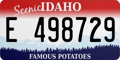 ID license plate E498729