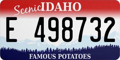 ID license plate E498732