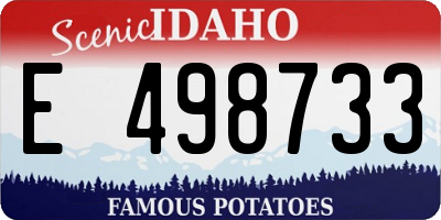ID license plate E498733