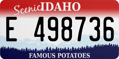 ID license plate E498736
