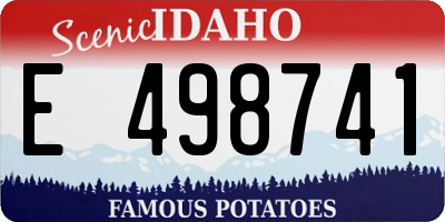 ID license plate E498741