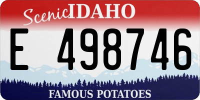 ID license plate E498746