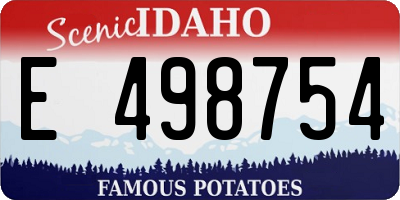 ID license plate E498754