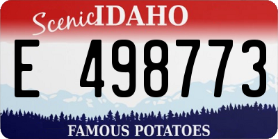 ID license plate E498773