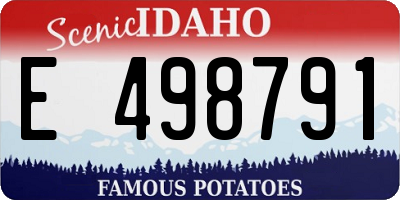 ID license plate E498791