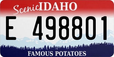 ID license plate E498801
