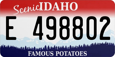 ID license plate E498802
