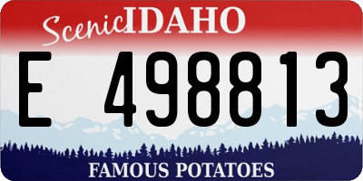 ID license plate E498813