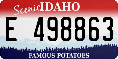 ID license plate E498863