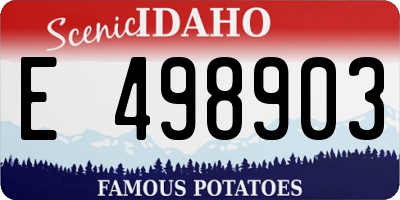 ID license plate E498903