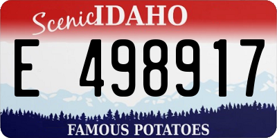 ID license plate E498917