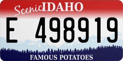 ID license plate E498919
