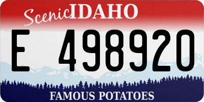 ID license plate E498920