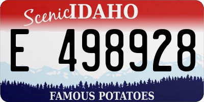 ID license plate E498928