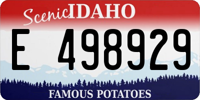 ID license plate E498929
