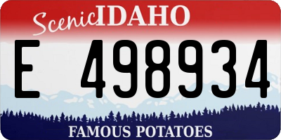 ID license plate E498934
